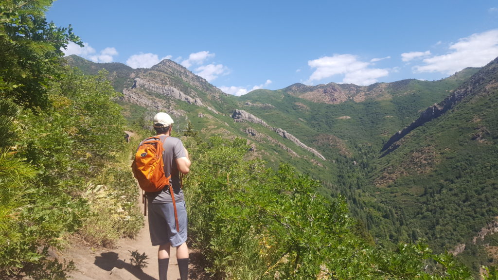 A man has his back to the camera and looks out over a mountain range.