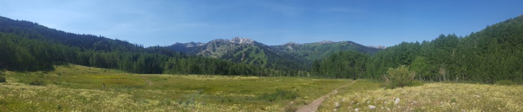 A panoramic nature shot with mountains in the background and a meadow with wildflowers in the foreground.