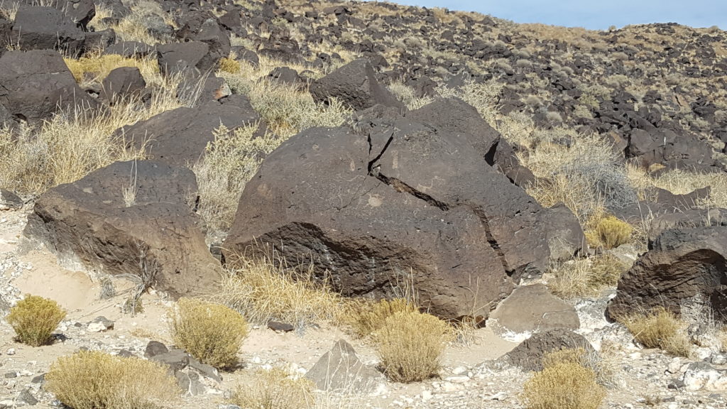 A petroglyph rock face among brush in New Mexico