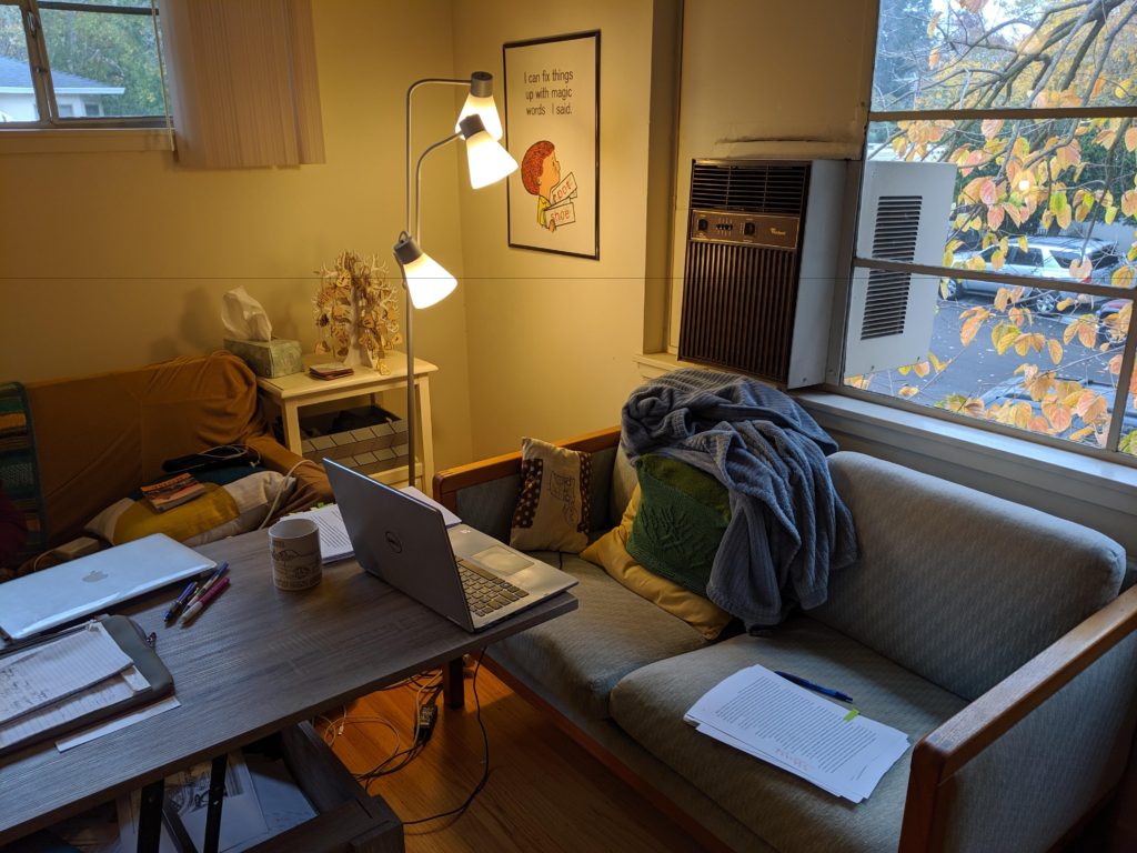 A living room scene with a couch and a laptop open on a coffee table in front of the couch.